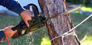 Best Weed Control  in Smithers, WV